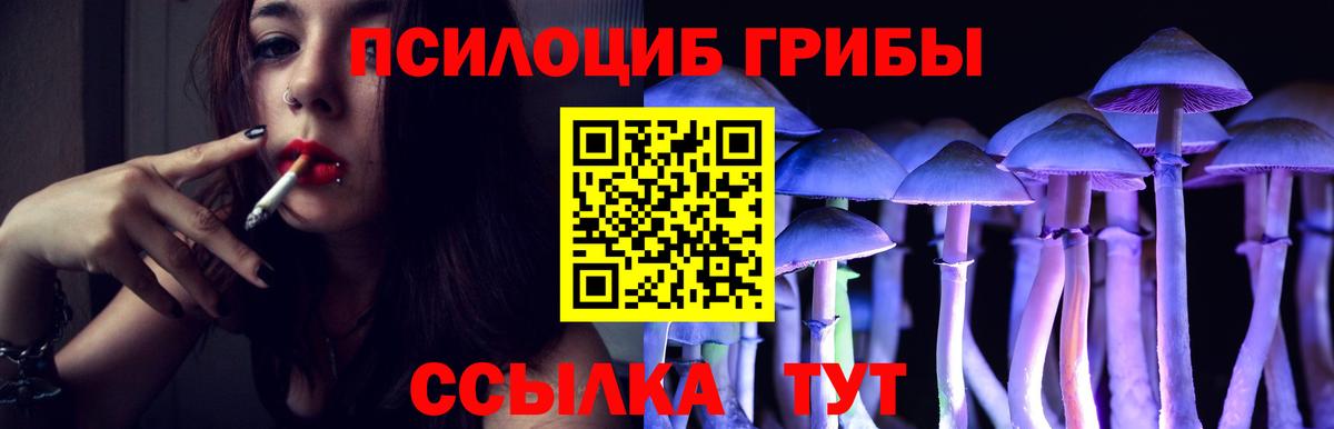 Сегежа  Псилоцибиновые грибы Psilocybine cubensis  где найти   Вход с VPN 